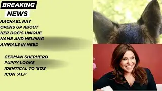 Rachael Ray Opens Up About Her Dog&rsquo;s Unique Name and Helping Animals in Need