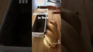 #cozonaci #kammellia #cozonac