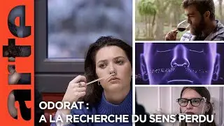 Odorat : &agrave; la recherche du sens perdu - Teaser | Documentaire | ARTE