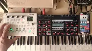 TeaForTwo - Live Jam with Midicake, Manatee, Korg SV-2, Koala