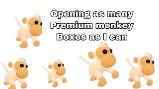 Opening as many premium monkey boxes as I can (sorry for the thumbnail)