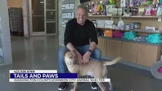 Tails and Paws: March 8, 2021