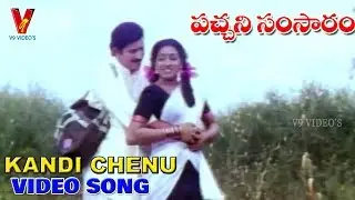 KANDI CHENU|VIDEO SONG | PACHANI SAMSARAM | KRISHNA | AAMANI | RAJ KUMAR | KOTA | V9 VIDEOS