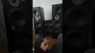 Bass i love you ! 