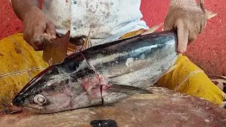 TUNA FISH SLICE CUTTING SKILLS | EXPORT FISH TUNA CUTTING BY KUTTY ANNA #tunafish #seafood #fishing