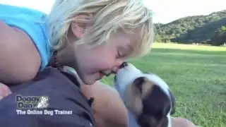 GUIDE TRAINING DOG - Guide stop 8 bad habits on your dog