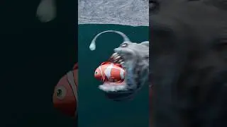 Fish Eat Fish Goldfish Vs Megalodon