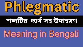 Phlegmatic Meaning In Bengali /Phlegmatic  mane ki