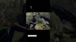 3 Burung Garuda Asli Terbesar di Dunia dan Masih Ada hingga Saat Ini#shorts