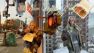 ich war in New York City! vlog