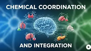 Chemical Coordination and Integration | NCERT Line-by-Line | NEET 2026
