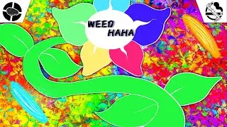 WEED HAHA - Third World Tournament X