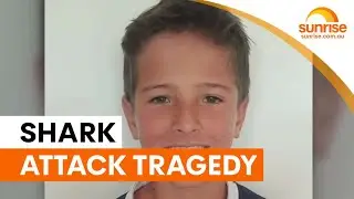 Boy not expected to survive Sydney shark attack | Sunrise