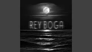 Ingravido