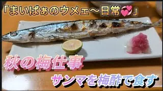 秋の梅仕事　サンマを梅酢で食す