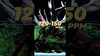 TDS in 16 seconds...⚡