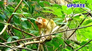 How beautiful baby Elpida leave Alberto walk on tree alone?, Elpida freely when Alberto forget her