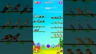 Bird Color Sort - Puzzle Game