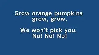No 4 Orange Pumpkins 김포리틀아메리카