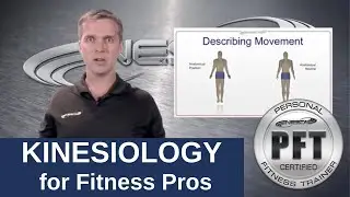 Kinesiology Education for Personal Trainers | Review & Fundamentals