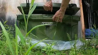 Leafcutter Bees Hatch, and Cater Gator Overview