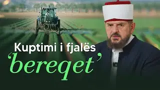 Kuptimi i fjalës ‘Bereqet’? - Dr. Shefqet Krasniqi