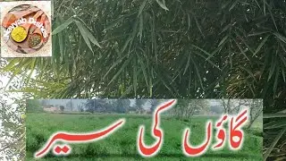 village tour .gao ki sair.village life natural scenes