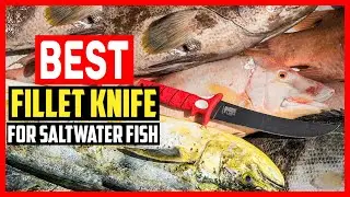 ✅Top 5 Best Fillet Knife for Saltwater Fish in 2025