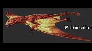 Carnivores Triassic All Creatures