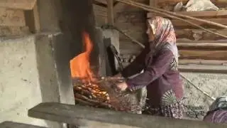 Tarımda Kadın Eli  