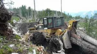 forest machines in Austria