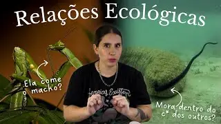 RELAÇÕES ECOLÓGICAS: Como os Organismos Interagem na Natureza | VídeoAula 1