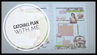 Catch all plan with me featuring Robin's planning nest