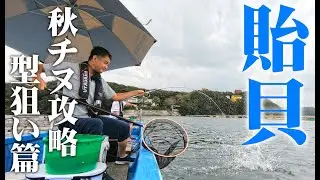 楽しいちぬ釣り #51 仲秋の黒鯛かかり釣り 三重 的矢 开心钓黑鲷 Extreme Bream Fishing