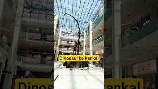 Dinosaur ka kankal |दानोसौर का कंकाल