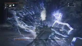 Bloodborne Darkbeast Paarl