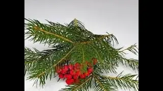 Protecting Your Home: The Rowan Wood Secret &ndash; Part 1