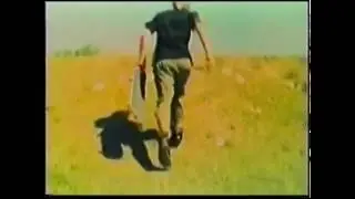 Time skateboards Money video Seb Steele