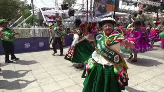 Tarqueada San Pedro de Totora en Carnaval Andino - Arica 2025