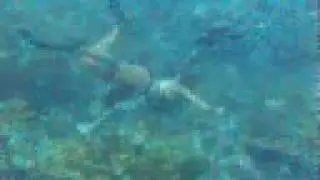 Abaco, Bahamas Musical Slide Show
