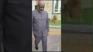 Lawyer Dino Melaye: Nigeria&rsquo;s Flashiest Senator (Ex)     #nigeriaentertainment