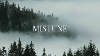 Mistune &ndash; Gentle Night Mist Piano & Ambient Sounds for Relaxation, Sleep, and Study