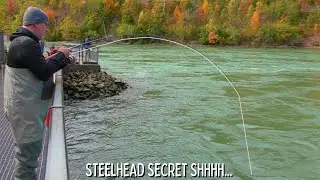 The secret STEELHEAD tactic they DON'T want you to know about...