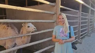 УЛЛИ ХОВЛИ ХОРЕЗМСКАЯ ОБЛАСТЬ УЗБЕКИСТАН ТУРКМЕНСКИЙ ДВОР