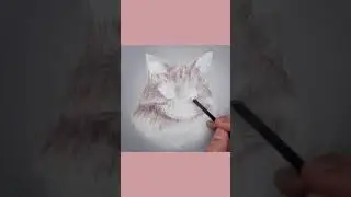 How To Draw A Cat | With Acrylic Painting