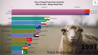 Top 11 Sheep Producing Countries