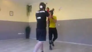 Wing Chun vs Krav Maga
