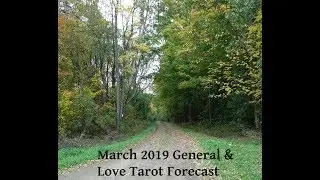 Aquarius March 2019 General & Love Reading 🔮