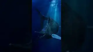 ИХТИОЗАВР В РОССИИ #наука #динозавры