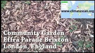 Community Garden Effra Parade Brixton London, England
